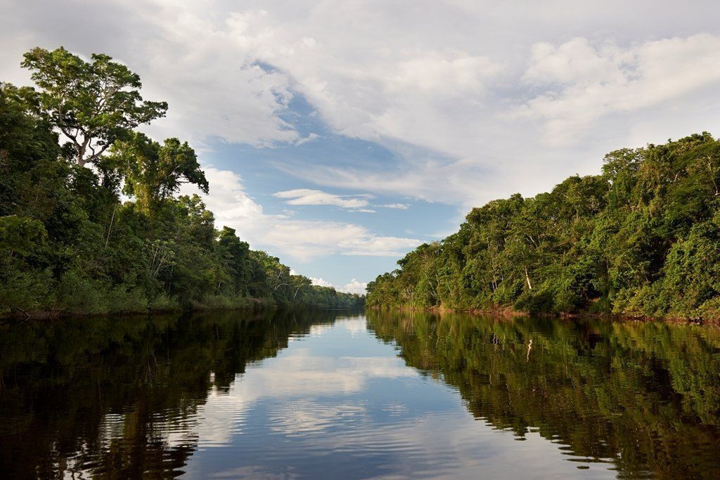 Áreas Naturales Protegidas en la selva del Perú