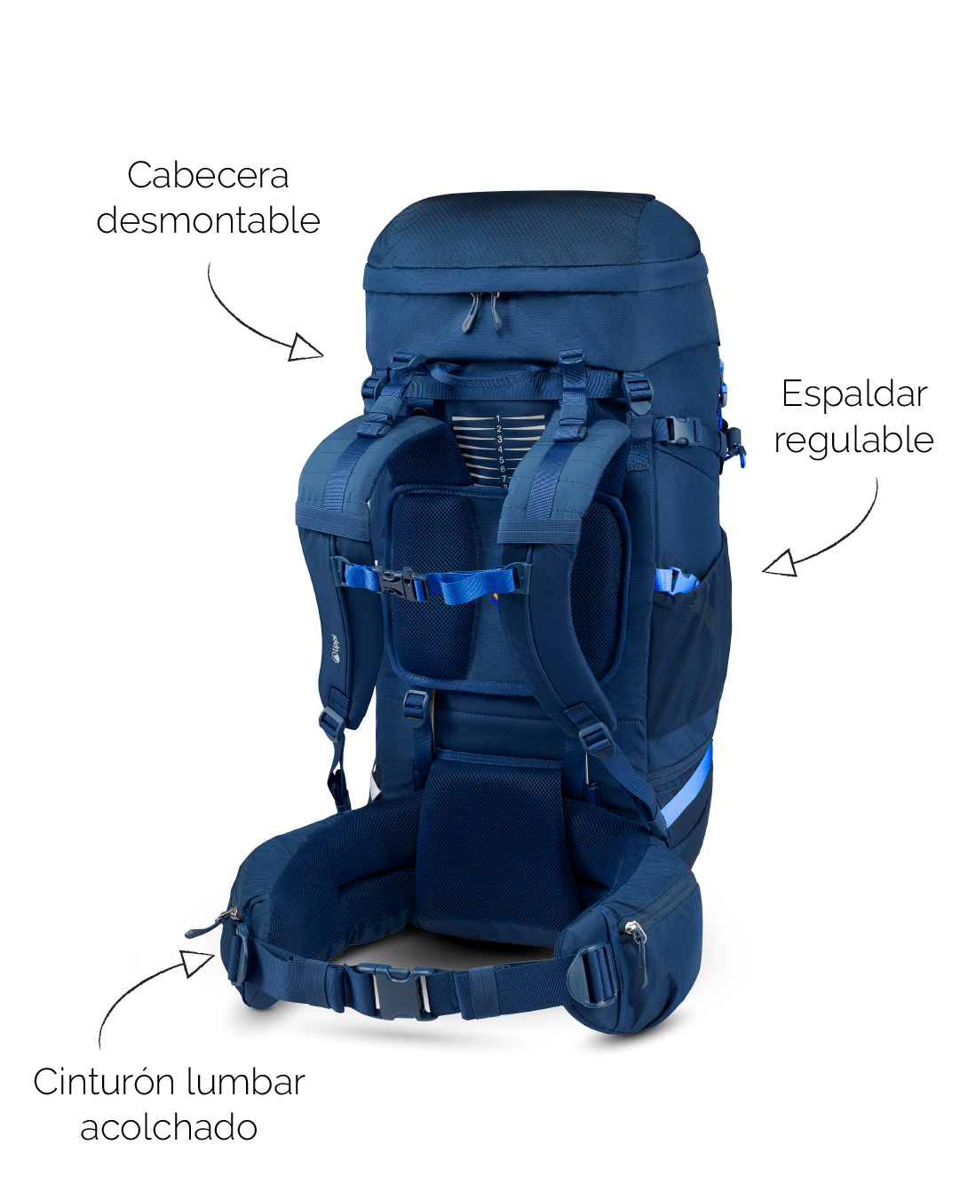 Lippi Brand productos_Mesa de trabajo 1 copia 82