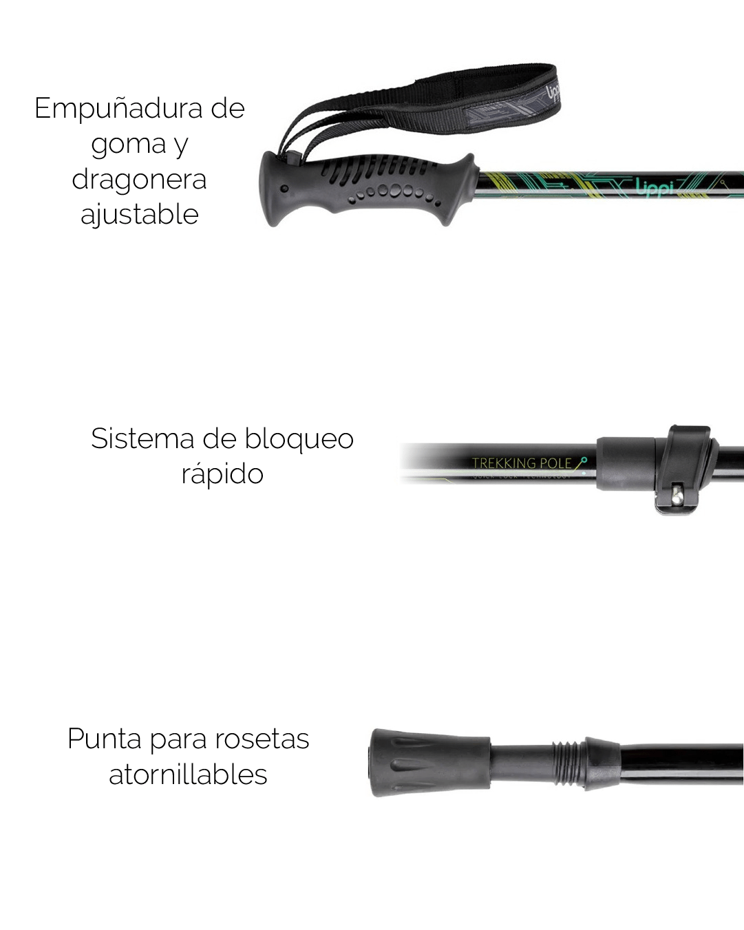 Lippi Outdoor Brand_Mesa de trabajo 1 copia 99