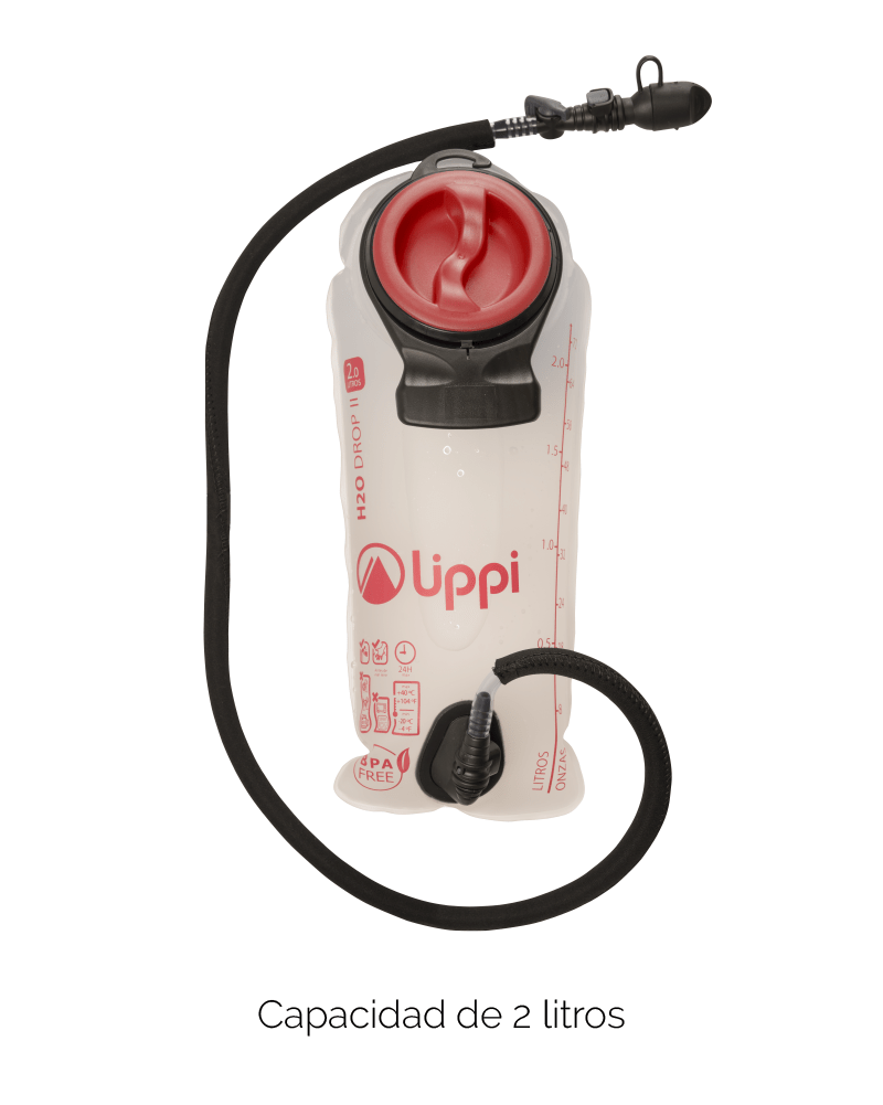 Tercera carga Lippi_Mesa de trabajo 1 copia 2