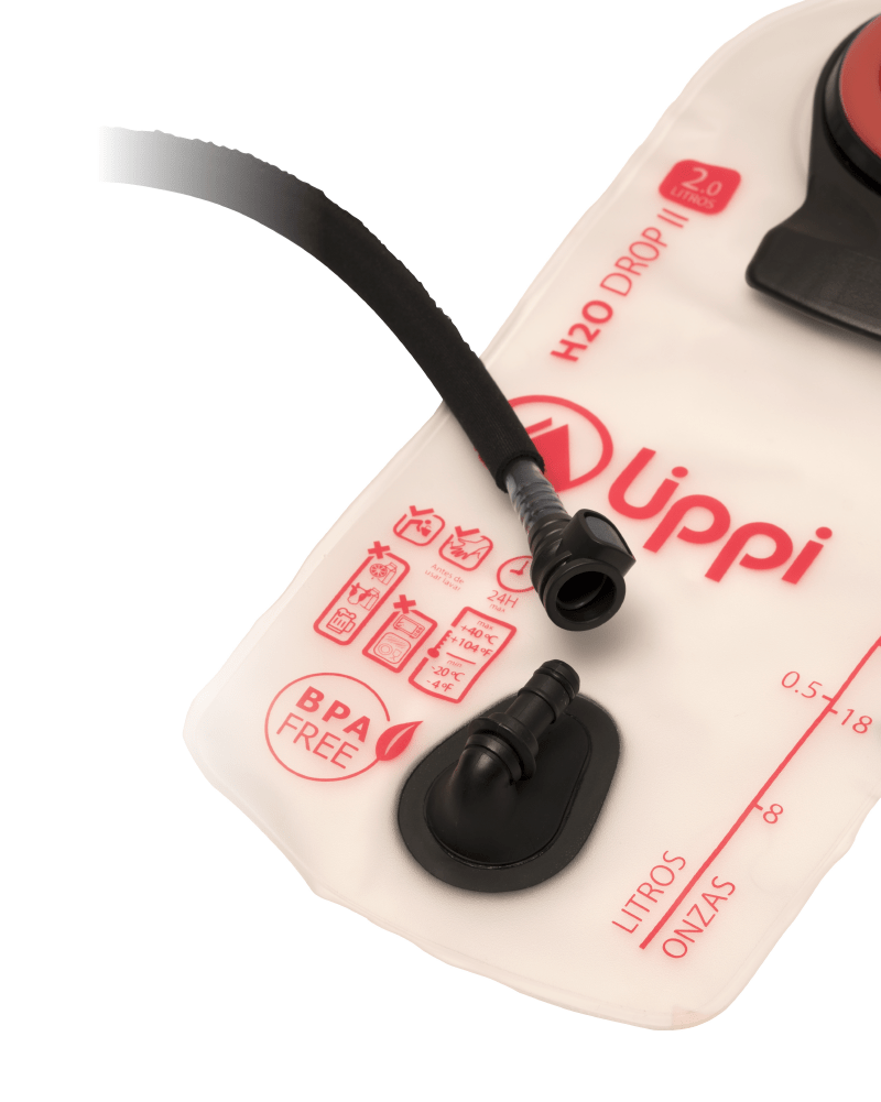 Tercera carga Lippi_Mesa de trabajo 1 copia 3