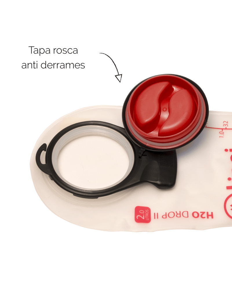 Tercera carga Lippi_Mesa de trabajo 1 copia 5