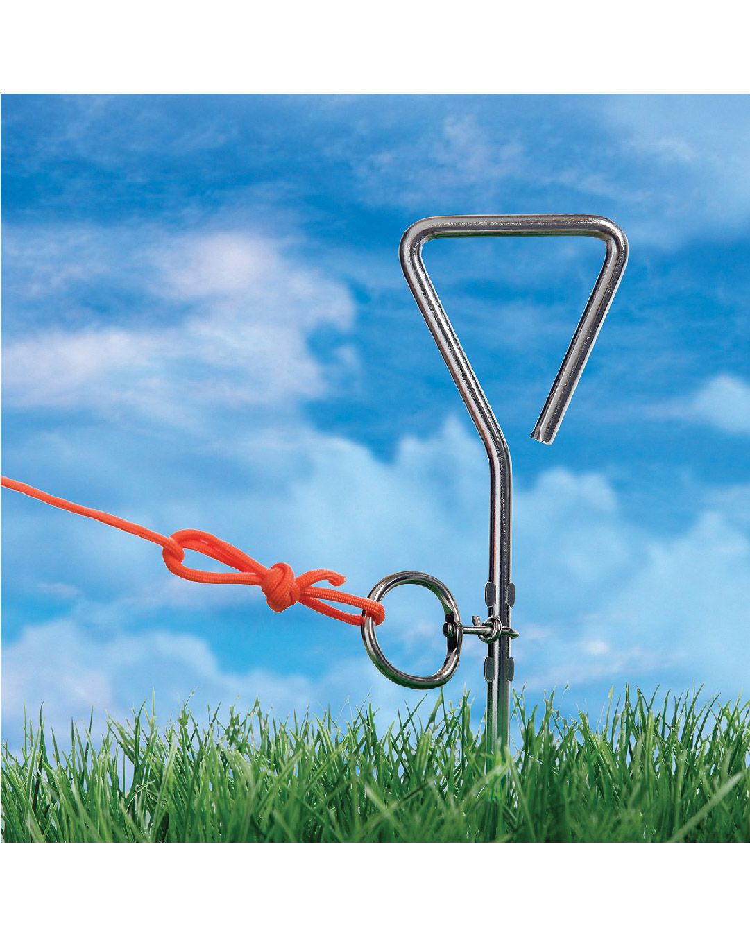 Productos Coghlans 3_Mesa de trabajo 1 copia 149