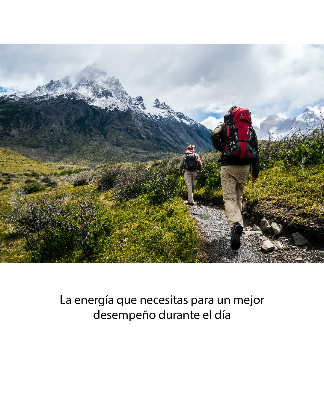 Guayusa focus te_Mesa de trabajo 1 copia 3