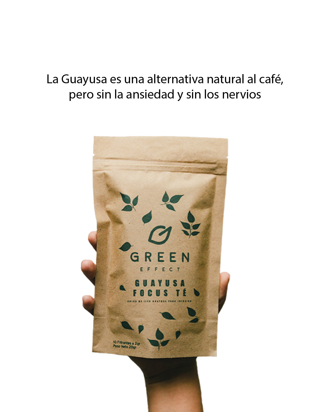 Guayusa focus te_Mesa de trabajo 1 copia