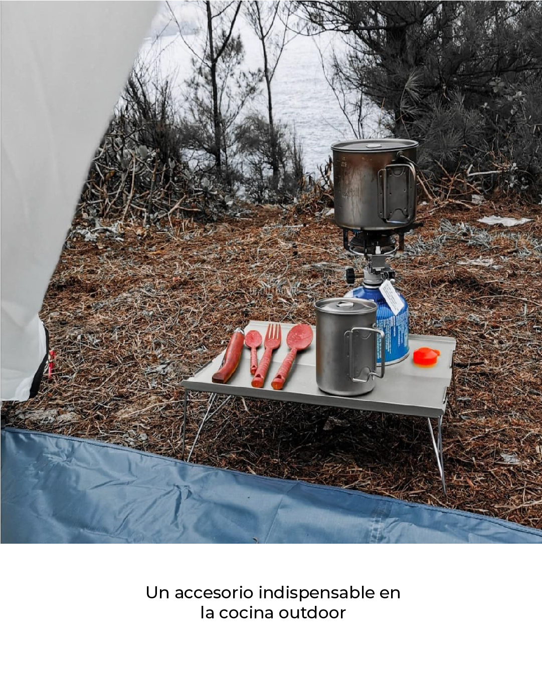 IMÁGENES WEB NATUREHIKE III-13