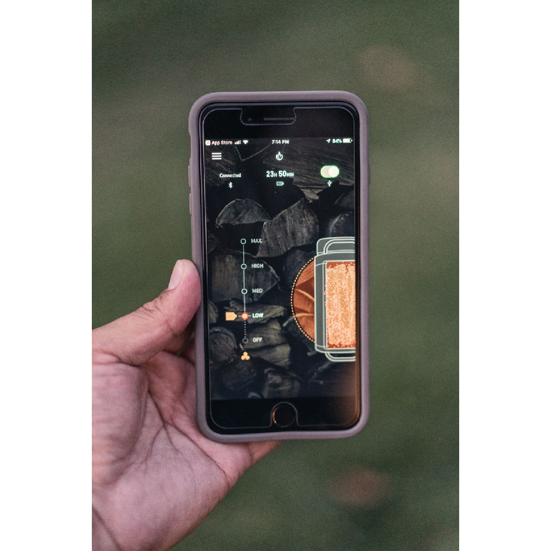 Ingresos Agosto 22-62